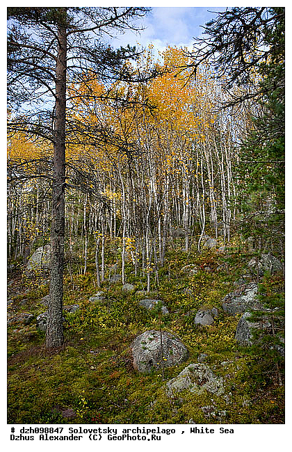 ������� �����, �������, �������, �����, ������, ������ ����, �����