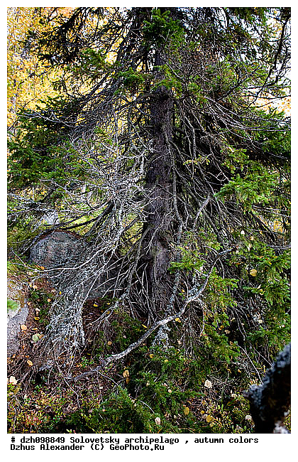 ������� �����, �������, ������, ������, ������, �������, �����, ������, ������ ����, �����, �����