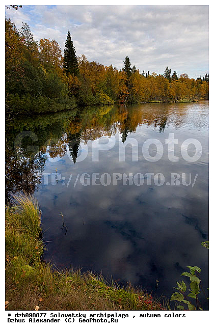 ������� �����, �������, ������, ������, �����, ������, �������, �����, ������, ������ ����, �����, �����