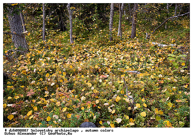 ������� �����, �������, ������, ������, ������, �������, �����, ������, ������ ����, �����, �����