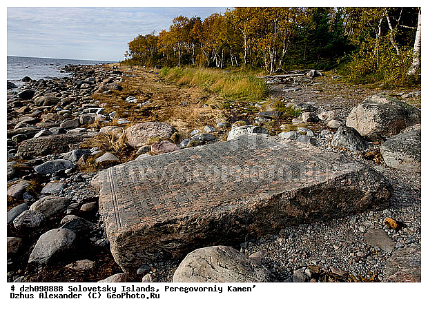 �������, ������������ ������, ���, ����������, �������, �������, ���������, �����, ������, ������