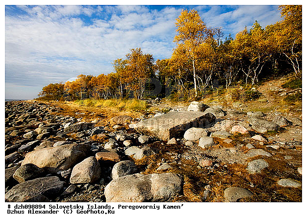 �������, ������������ ������, ���, ����������, �������, �������, ���������, �����, ������, ������