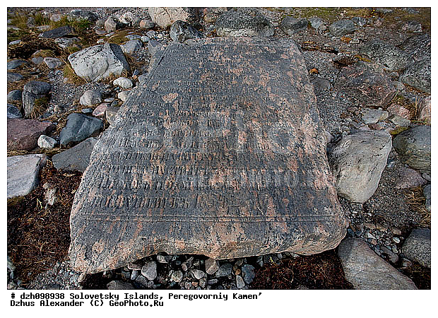 �������, ������������ ������, ���, ����������, �������, �������, ���������, �����, ������, ������