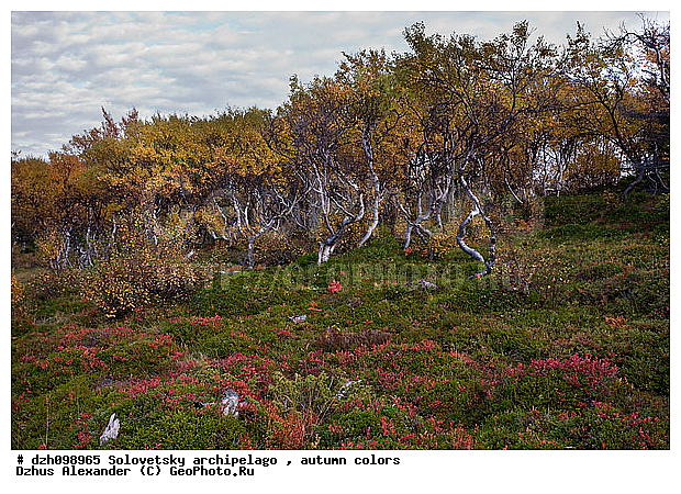 ������� �����, �������, ������, ���������, ������, ����������, ����������, ������, �������, �����, ������, �����