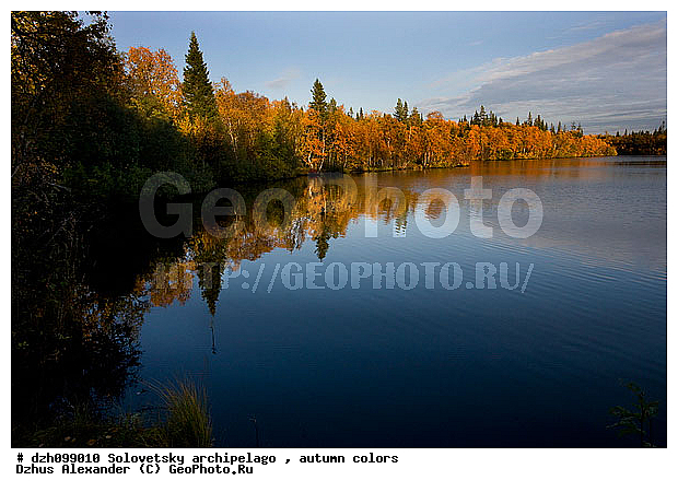 ������� �����, �������, ������, ������, �����, ������, �������, �����, ������, ������ ����, �����, �����