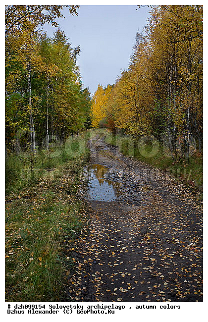 ������� �����, �������, ������, ������, ������, ������, �������, �����, ������, ������ ����, �����, �����