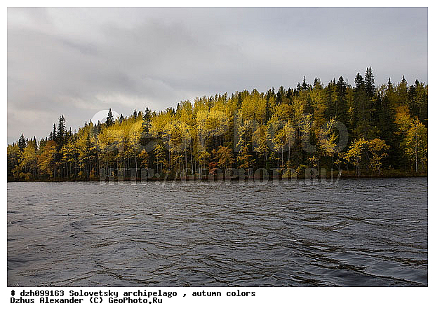 ������� �����, �������, ������, ������, �����, ������, �������, �����, ������, ������ ����, �����, �����