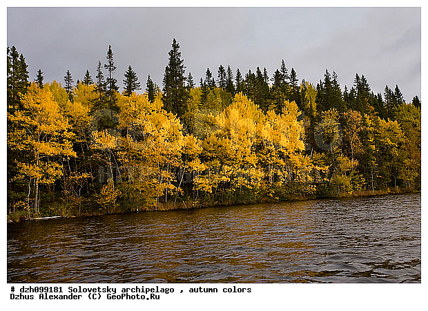 ������� �����, �������, ������, ������, �����, ������, �������, �����, ������, ������ ����, �����, �����