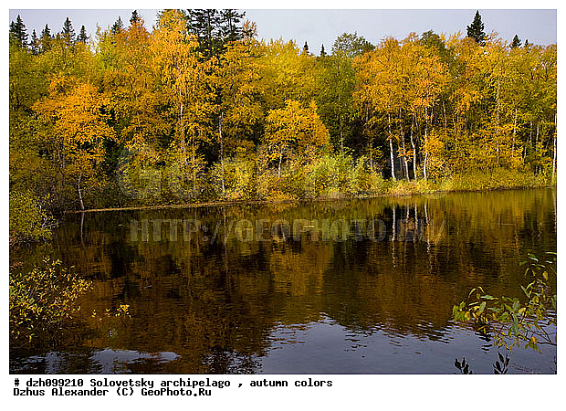 ������� �����, �������, ������, ������, �����, ������, �������, �����, ������, ������ ����, �����, �����