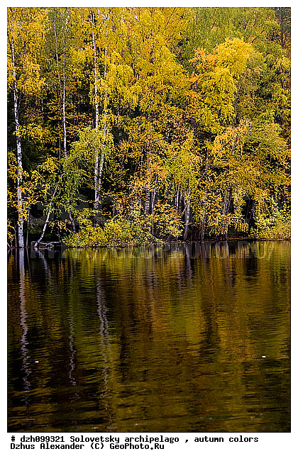 ������� �����, �������, ������, ������, �����, ������, �������, �����, ������, ������ ����, �����, �����