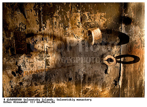 �������, ������� ���������� ������, ���, ����������, ���������� ���������, �������, �����, ������ ������, �������, ��������, ���������, �����, ������, ������, ������������