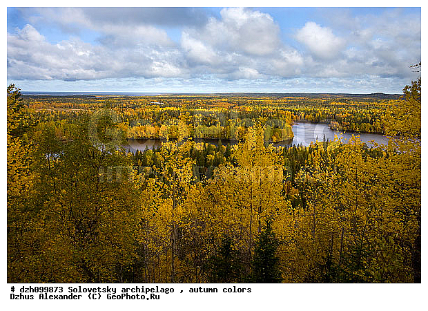 ������� �����, �������, �������� ����, �������, ������, �������, �����, ������, ������ ����, �����