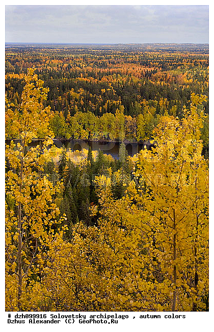 ������� �����, �������, �������� ����, �������, ������, �������, �����, ������, ������ ����, �����