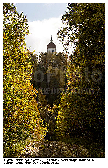 �������, ����, ���, �������, ��������, ����������, �������, �������, ����, ���������, �����, ������, ������, ������������