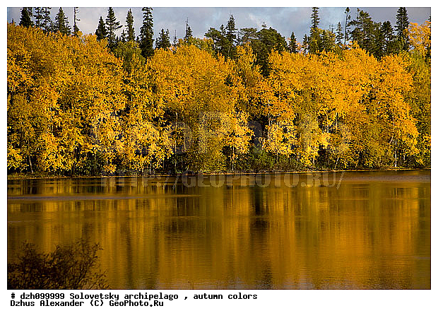 ������� �����, �������, ������, ������, �����, ������, �������, �����, ������, ������ ����, �����, �����