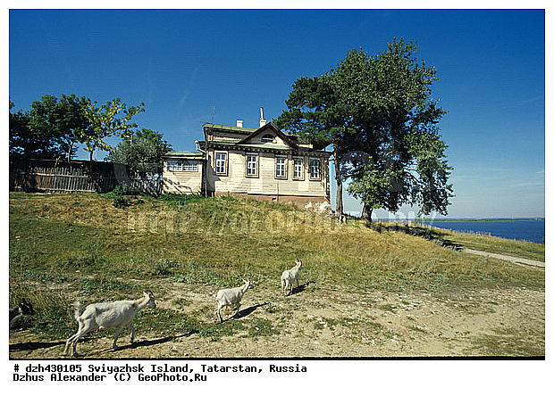 �����, �������, ����, ���������, ������