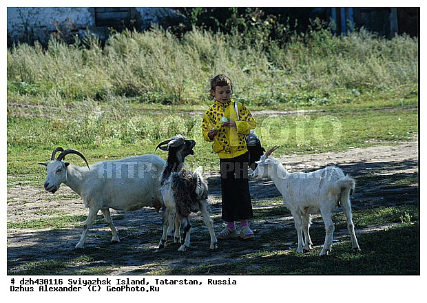 �����, �������, ����, ���������, ������