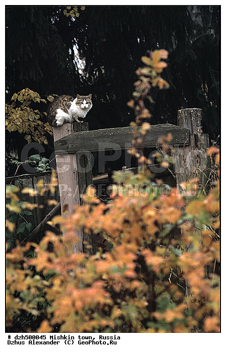 ������, ������, ����������� �������