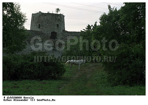 �������, ��������� �������, ������, ����� ��������, �����, ������, ��������