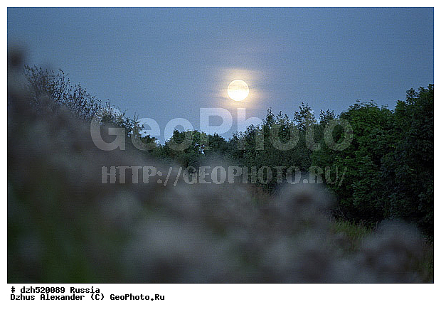 �������, ��������� �������, ������, ����� ��������, �����, ������, ��������