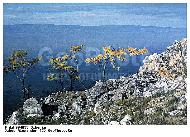 ������, �����, ������