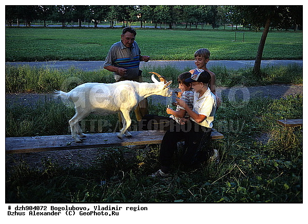 ����������, ������������ �������, �����, ����������� �����, �������, ����, ����, �������, �����, ����, ����