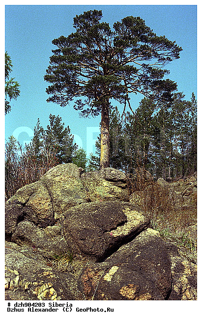 ������������� �����, �������� ������, �����, ������, ������, ������, �����, �������