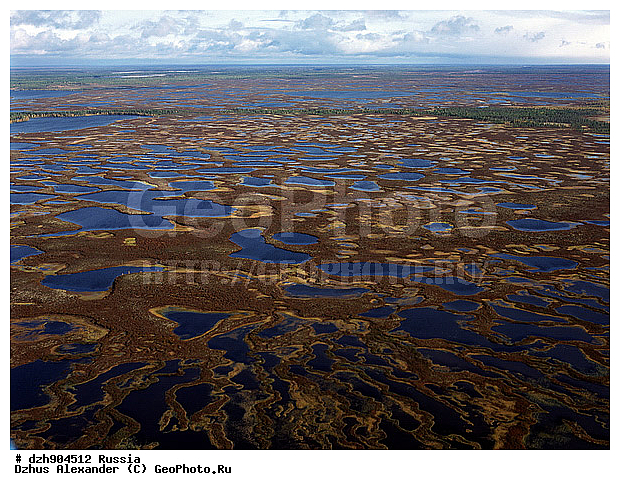 ����, ����, �������, ����������, ��������������, ��� ������, ����, �����