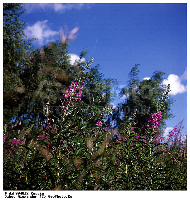 ������, ����-���, ���� ������, ������� �����, ������, ������