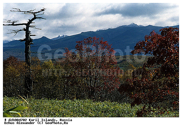 ������, ������, �����, ������