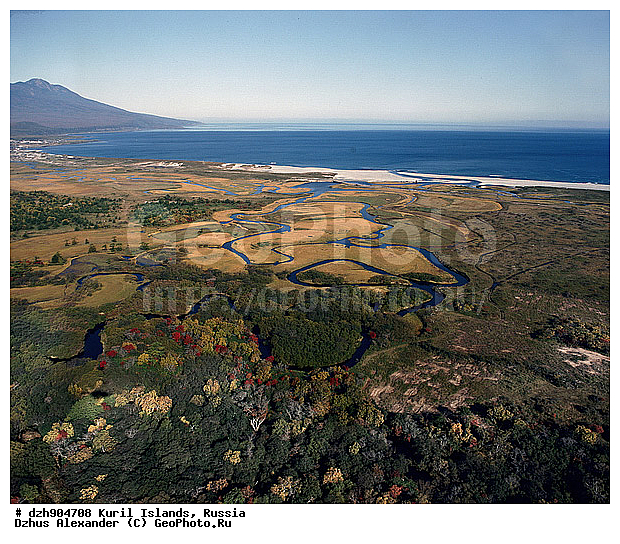 ������, ����, ����������, ��������������, ��� ������, ����, ������