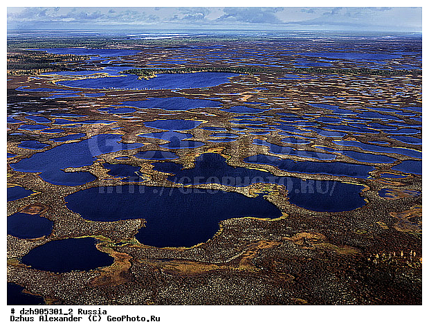 ����, ����, �������, ����������, ��������������, ��� ������, ����, �����