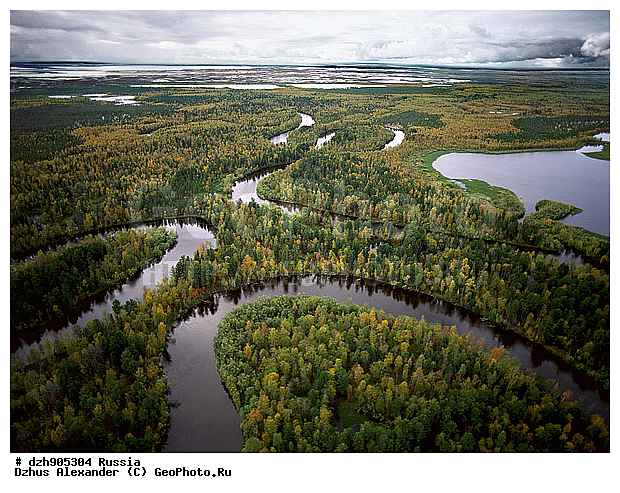 ����, ����, �������, ����������, ��������������, ��� ������, �������, ����, ����