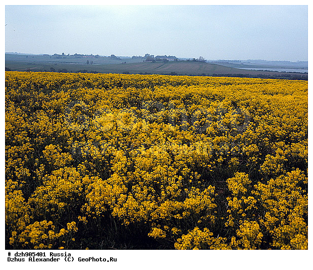 ������, ������, ����, ������, ����