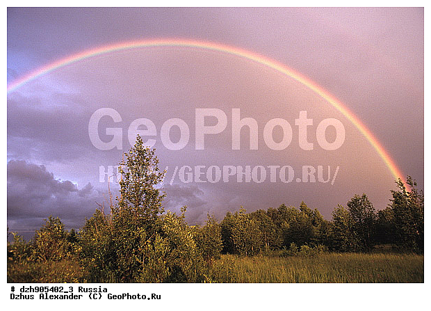 ������, ������, ������