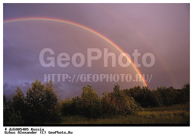 ������, ������, ������