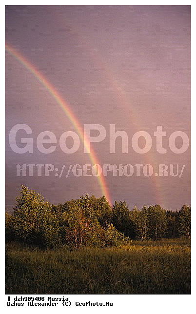 ������, ������, ������