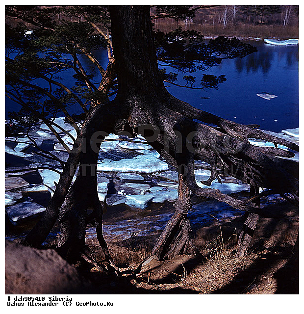 ������������� �����, �������, �������� ������, �����, ������, ������, ������, ����