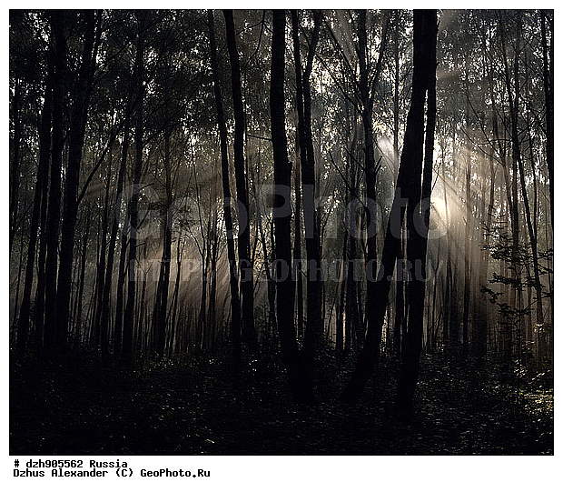 ������, ��������������, ���, ������