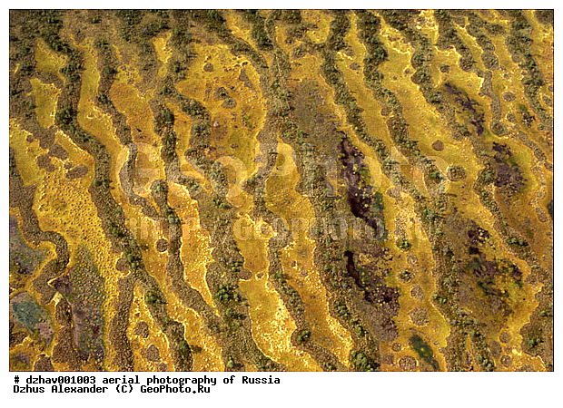 ������ ������, ��������, ��������������, �������, � ��������, ������� �����