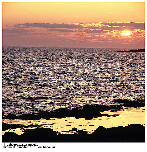 ����� ����, ���������� ���������, �����, ����, �����, ������