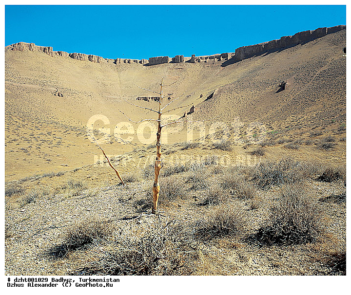 ������, ������, ��������� ���, ������, ������, ����������, ������������� �������, ����������, �����, �������