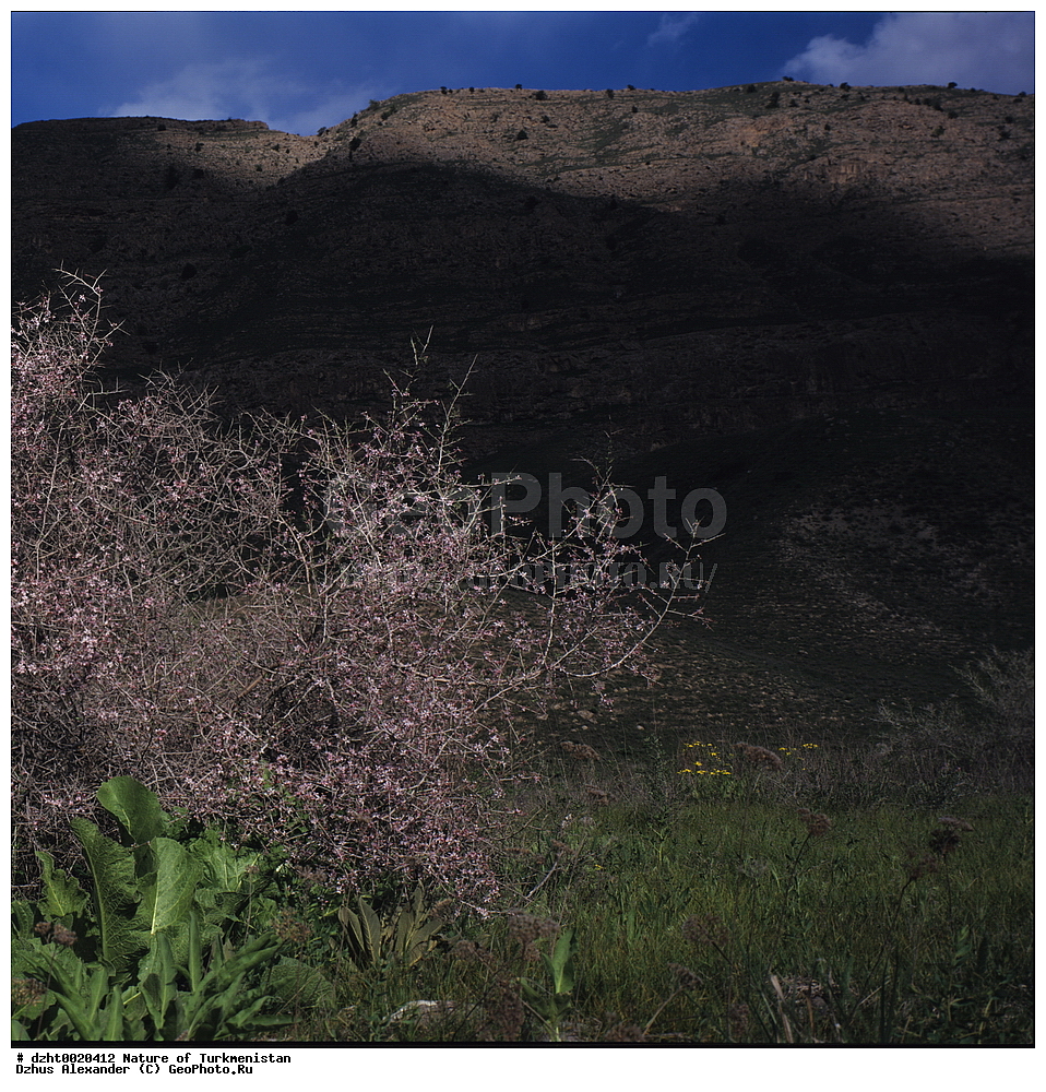 �������, ����������, ���������, ��������,  �����, 35�� 