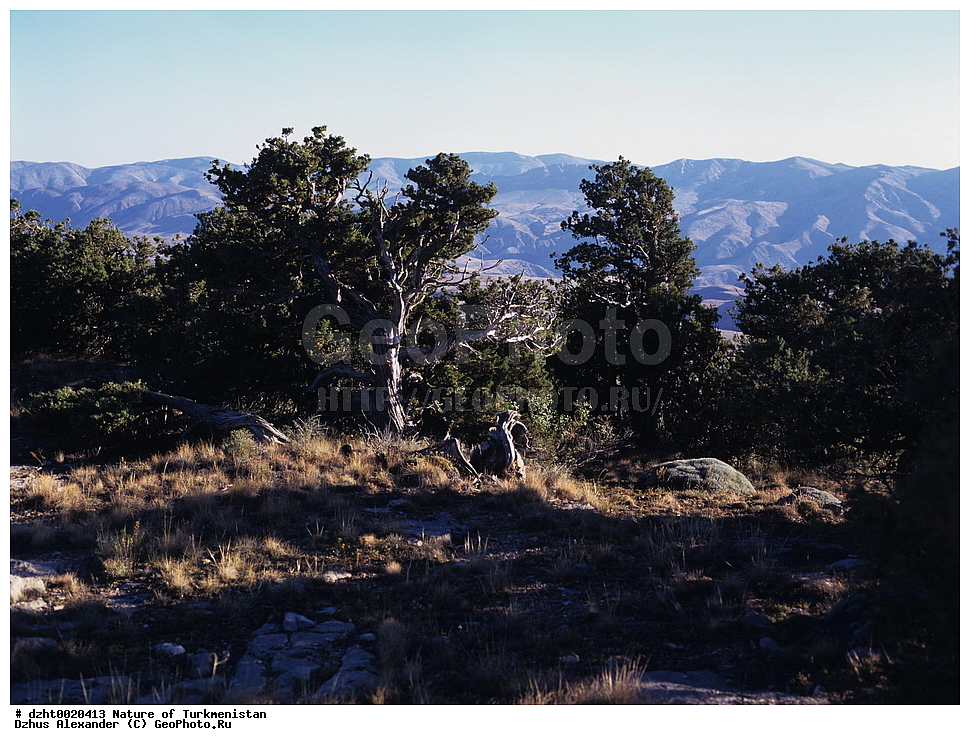 �������, ����������, ���������, ��������,  �����, 35�� 