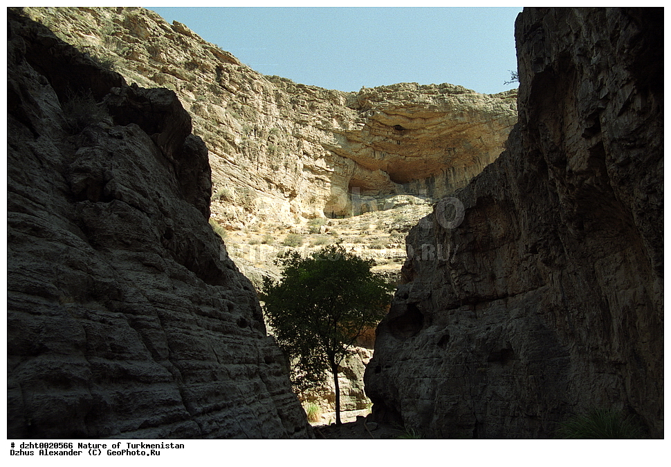 �������, ����������, ���������, �����������,  �����, 35�� 