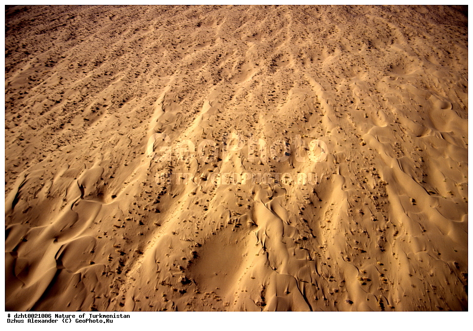 �������, ��������, �����, �������,  �����, 35�� 