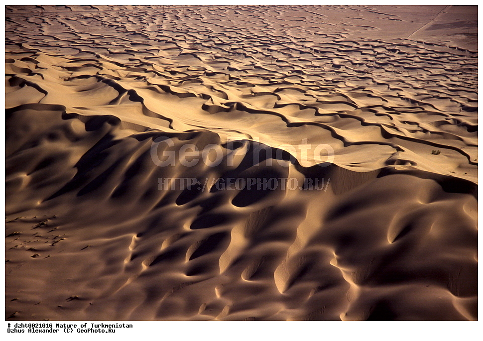 �������, ��������, �����, �������,  �����, 35�� 