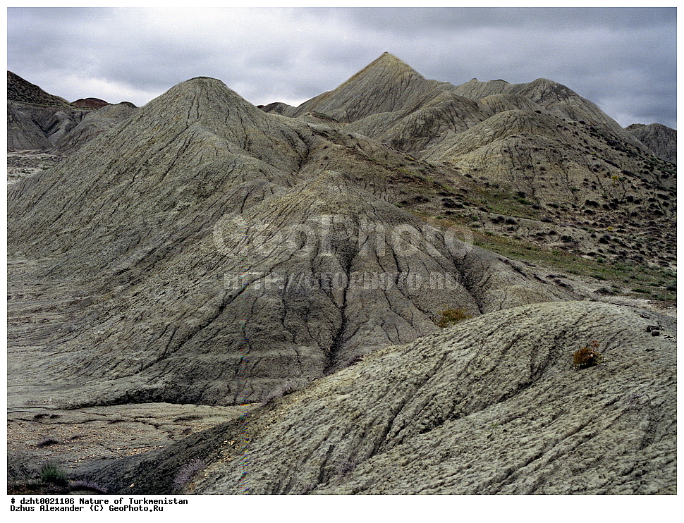 �������, ��������, ������, ����,  �����, 35�� 