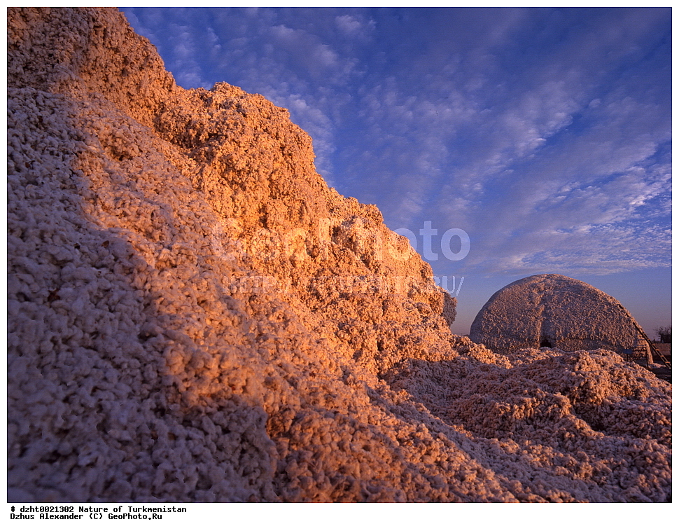 �������, ��������, �����,  �����, 35�� 