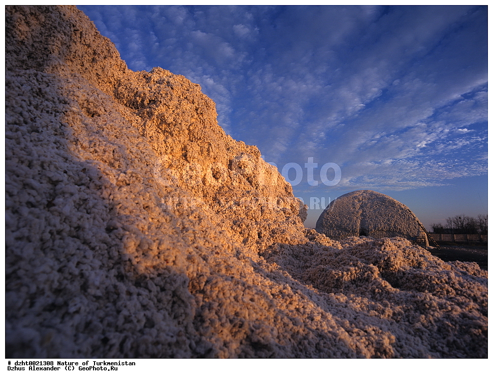 �������, ��������, �����,  �����, 35�� 